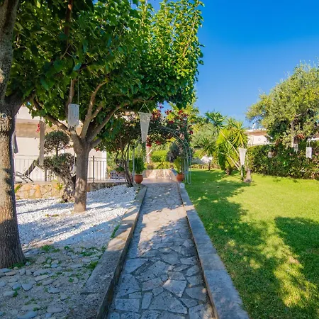 Vrisi Zakynthos * Fagias
